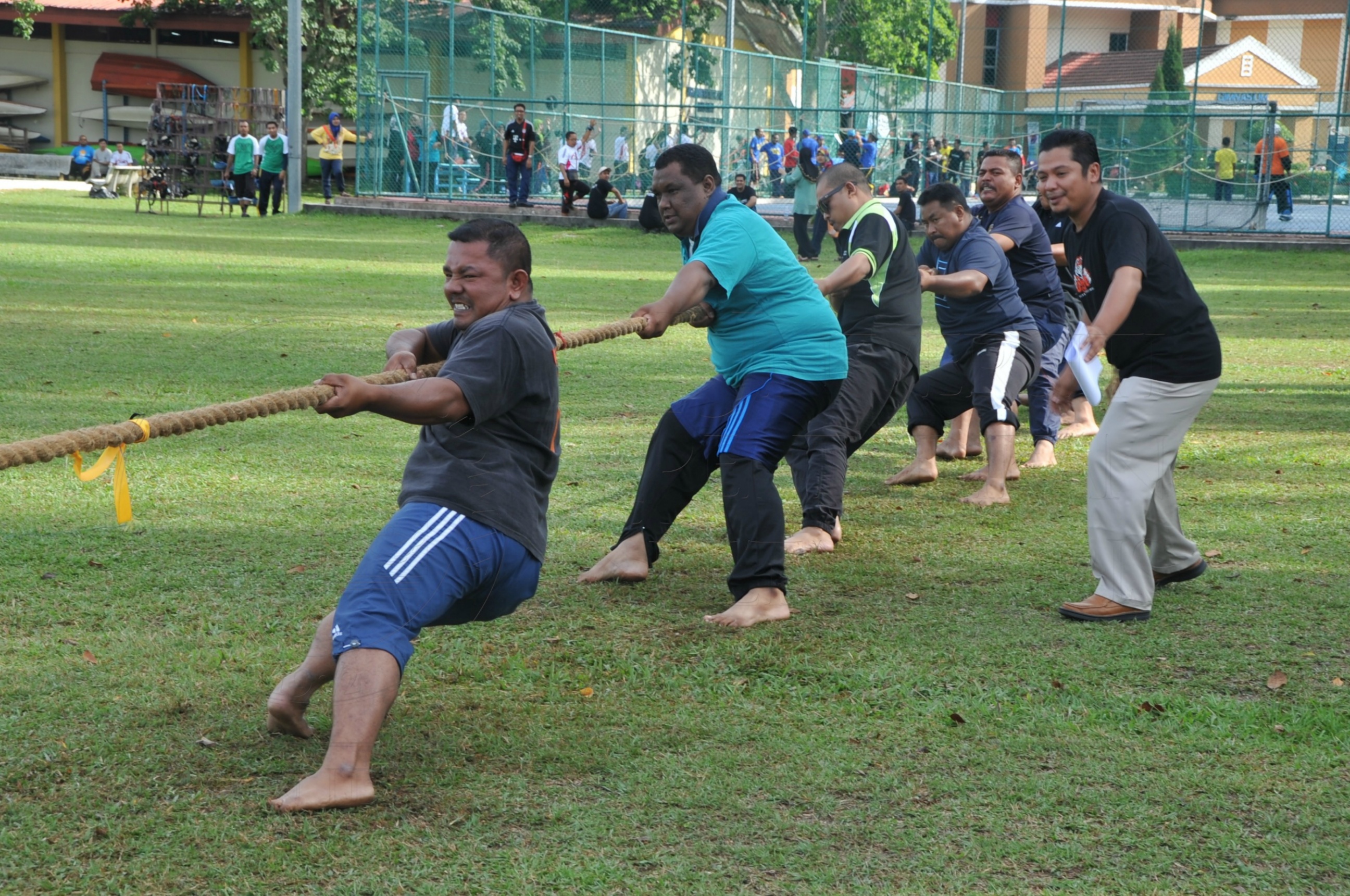 PRO 15 53 KIESTA HAS 5591